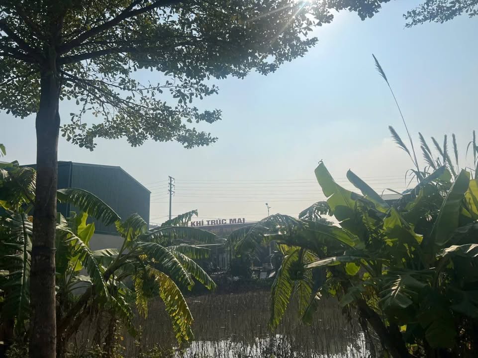 Đất nền Khu Phân Lô Gia Vượng, Gia Viễn 126m² giá 1.7 tỷ - Đầu tư sinh lời ngay!