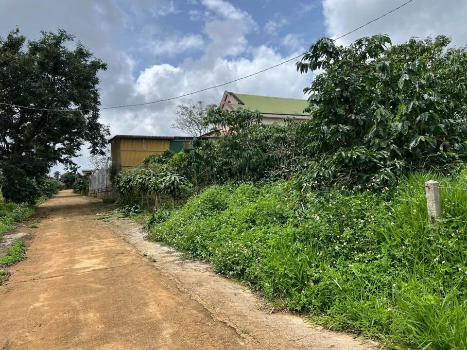 Đất Farm 360m² tại Gung Ré, Di Linh - Giá chỉ 1.1 tỷ, cơ hội đầu tư tuyệt vời!