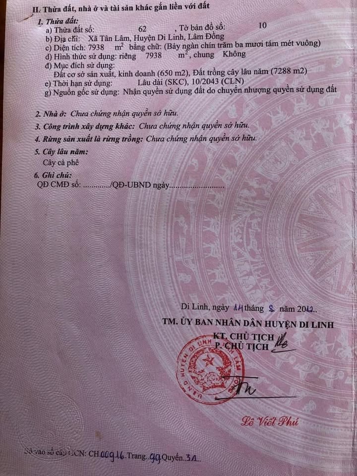 Đất mặt tiền QL28, xã Tân Lâm, Di Linh 73.500m² - Cơ hội đầu tư sinh lời!