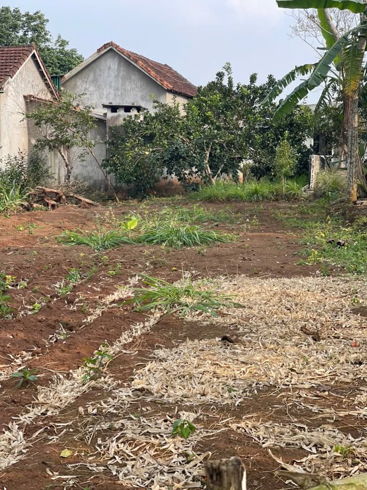 Lô đất thổ cư 187m² tại Đông Hiếu giá 600 triệu - Đầu tư sinh lời ngay!