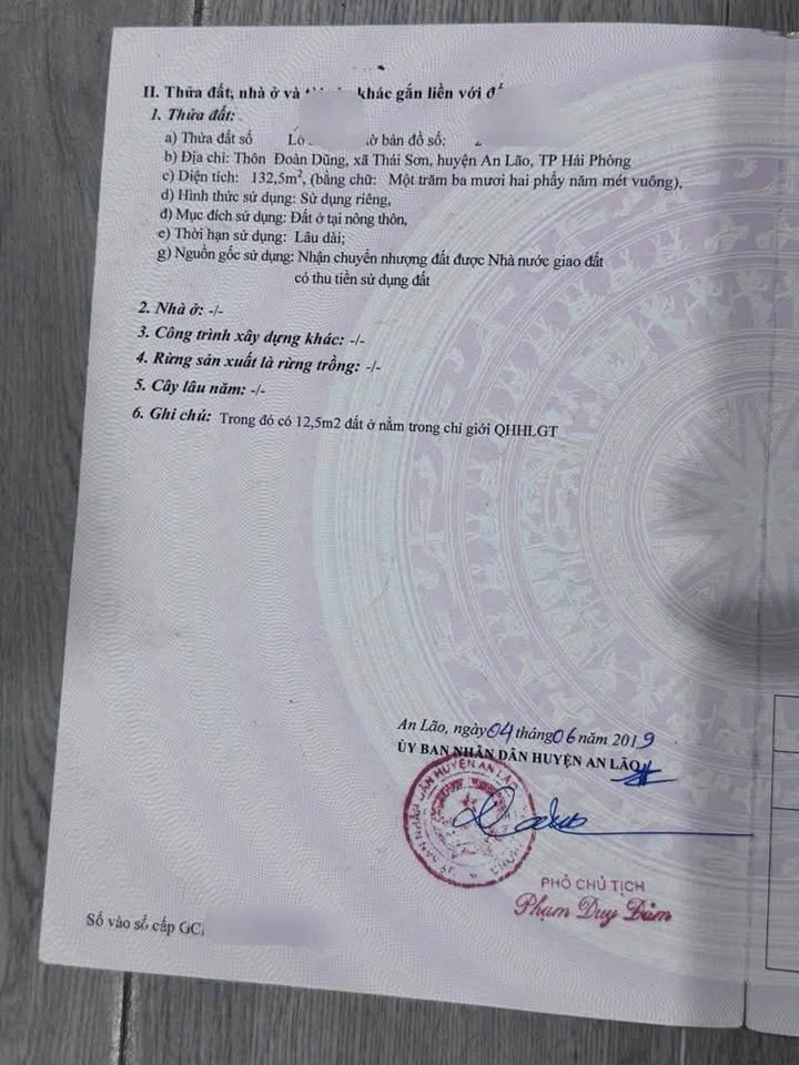 Đất nền mặt đường 306 Thái Sơn An Lão 135m² giá chỉ từ 1 triệu - Cơ hội đầu tư hấp dẫn!