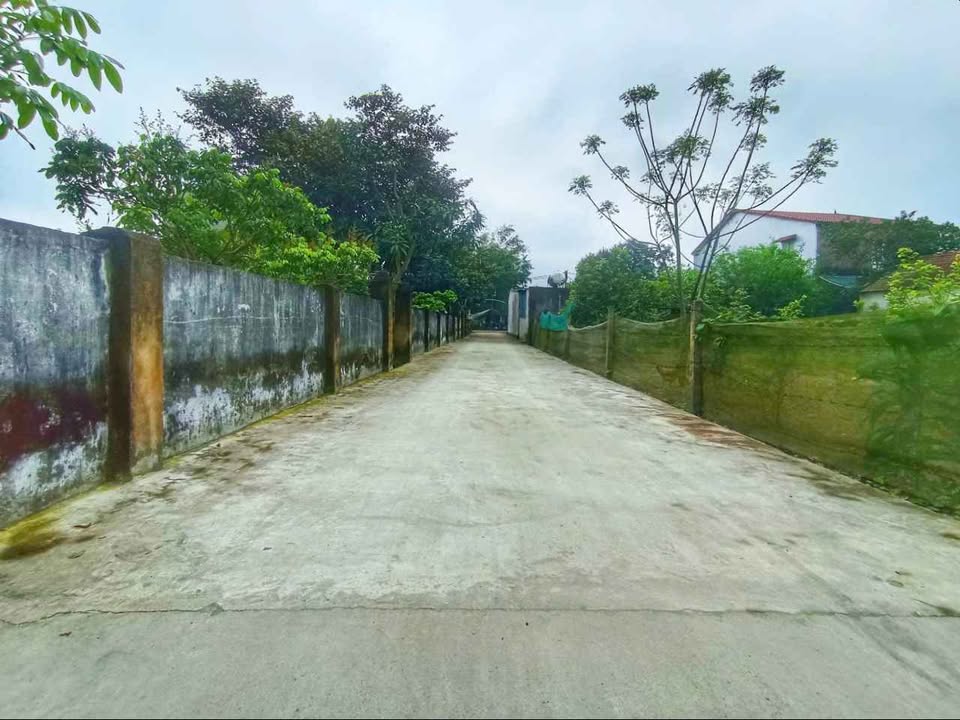 Đất nền TDP Liên Thanh - Thạch Hà 141.5m² giá 2.x tỷ - Đầu tư sinh lời hấp dẫn!