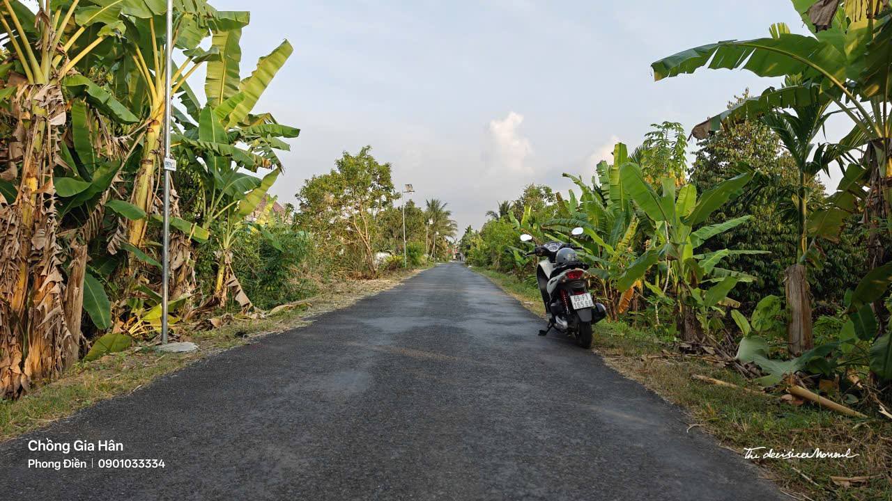 Đất nền 208m² tại Vàm Bi, Trường Long, Phong Điền - Giá chỉ 830 triệu, sổ hồng chính chủ!