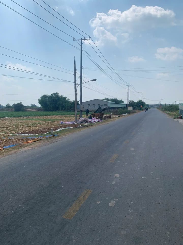 Đất thổ cư 190m² xã Phước Vinh, Tây Ninh - Mặt tiền kinh doanh sầm uất!