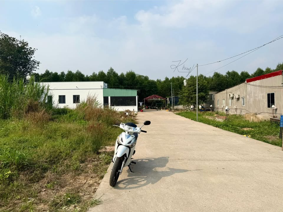 Bán đất ấp Tân Hiệp 4, Xã Phước Thái, 134m² giá 1.399 tỷ - Sổ riêng, thổ cư 80m²!