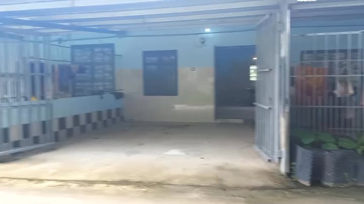 Nhà nguyên căn 1 phòng ngủ tại Xã An Phước - Giá thuê 2.8 triệu, không gian sống lý tưởng!