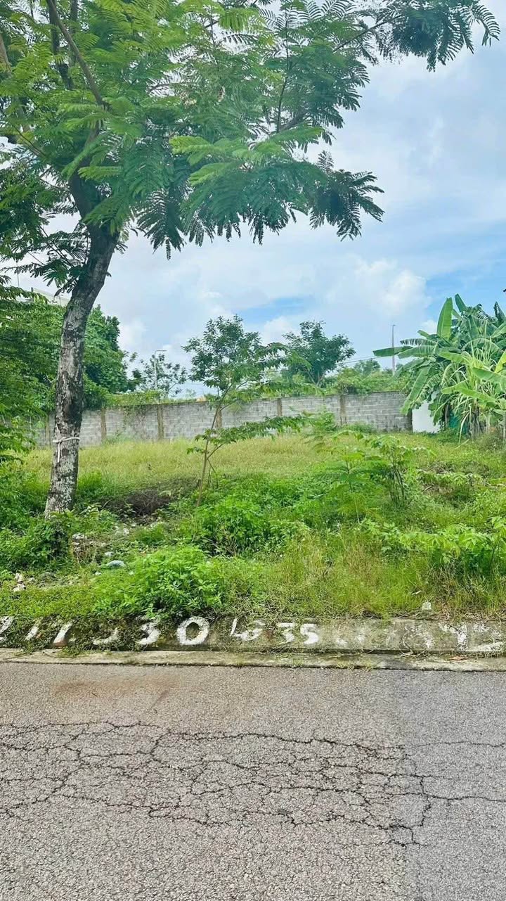 Đất nền KDC Cầu 2 Kỳ Phú, Tam Kỳ 126m² chỉ 1.7 tỷ - Cơ hội đầu tư tuyệt vời!