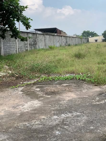 Đất mặt tiền Tô Ký, Hóc Môn 10.138m² giá 199 tỷ - Đầu tư sinh lời ngay!