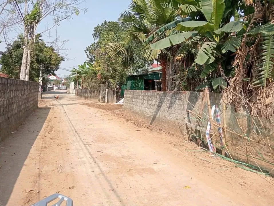 Đất thổ cư thôn Xanh Quỳnh Lưu 294m² giá 1.3 tỷ - Đầu tư lý tưởng!