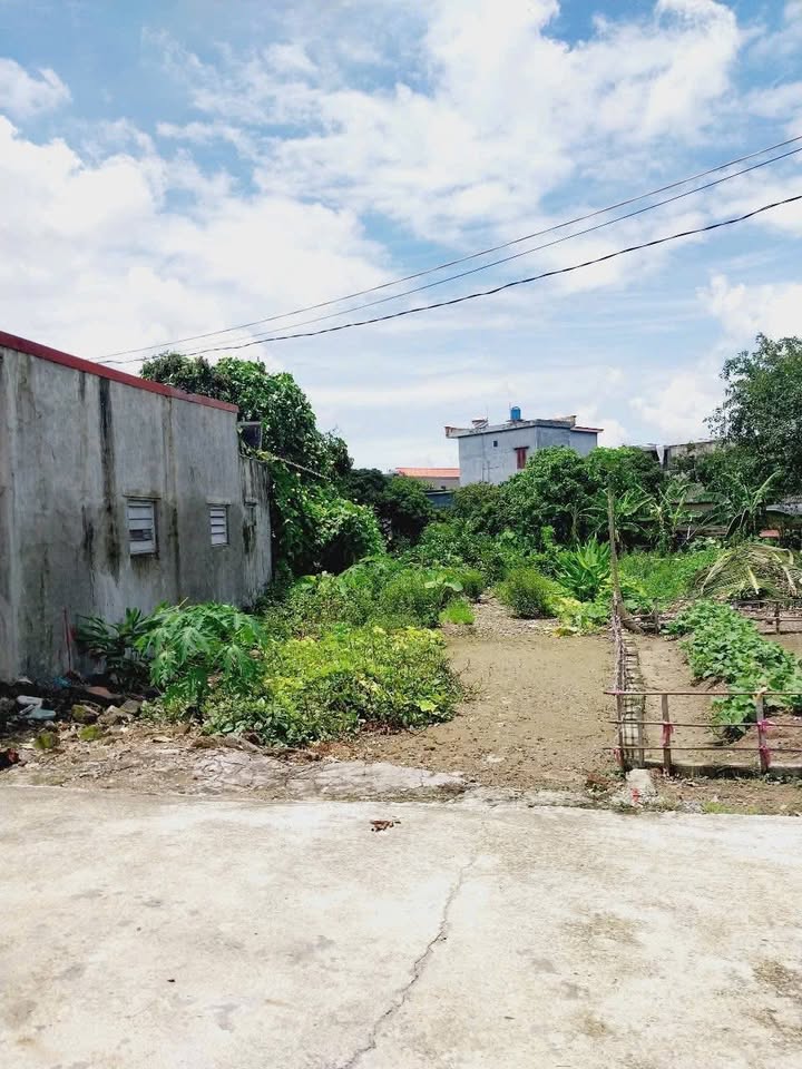 Đất thổ cư 96m² tại Thôn Thượng Xá, Quỳnh Minh - Giá chỉ 600 triệu!