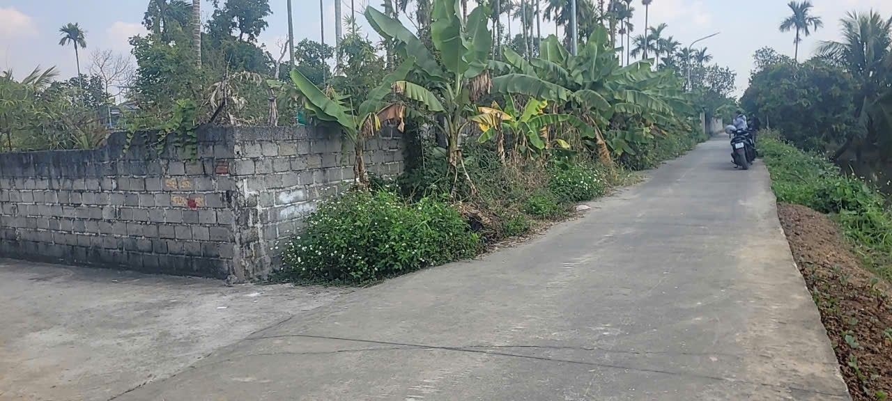 Đất Mặt Đường An Lão 600m² giá 5.4 tỷ - Lô góc 3 mặt ngõ đầu tư sinh lời!