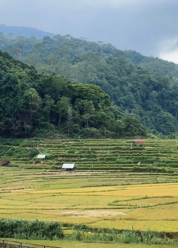 Đất thổ cư 900m² tại thôn Tu Ma, xã Măng Cành - Giá chỉ 9xx triệu!