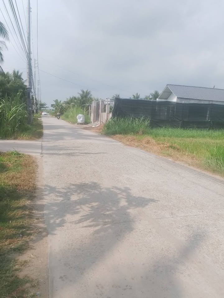 Đất nền liền kề 740m² tại Châu Hòa, Bến Tre - Pháp lý rõ ràng, giá tốt chỉ 950 triệu!