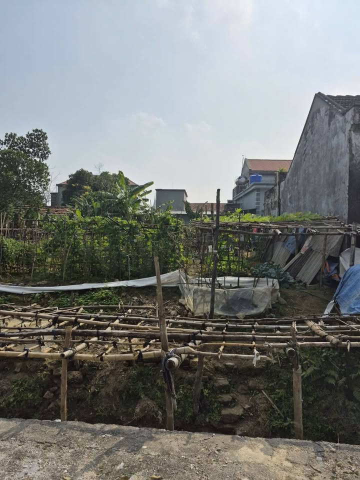 Đất thổ cư thôn Khoái, Liêm Sơn, Thanh Liêm 116m² giá 1.1 tỷ - Cơ hội đầu tư tuyệt vời!