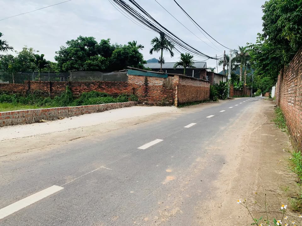 Đất nền thôn Thắng Trí, Minh Trí, Sóc Sơn 550m² giá 2.43 tỷ - Đầu tư sinh lời hiệu quả!