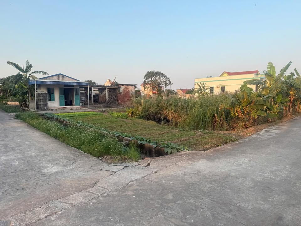 Đất thổ cư Xóm 6 Nam Điền 1040m² - Đầu tư sinh lời với 3 mặt tiền