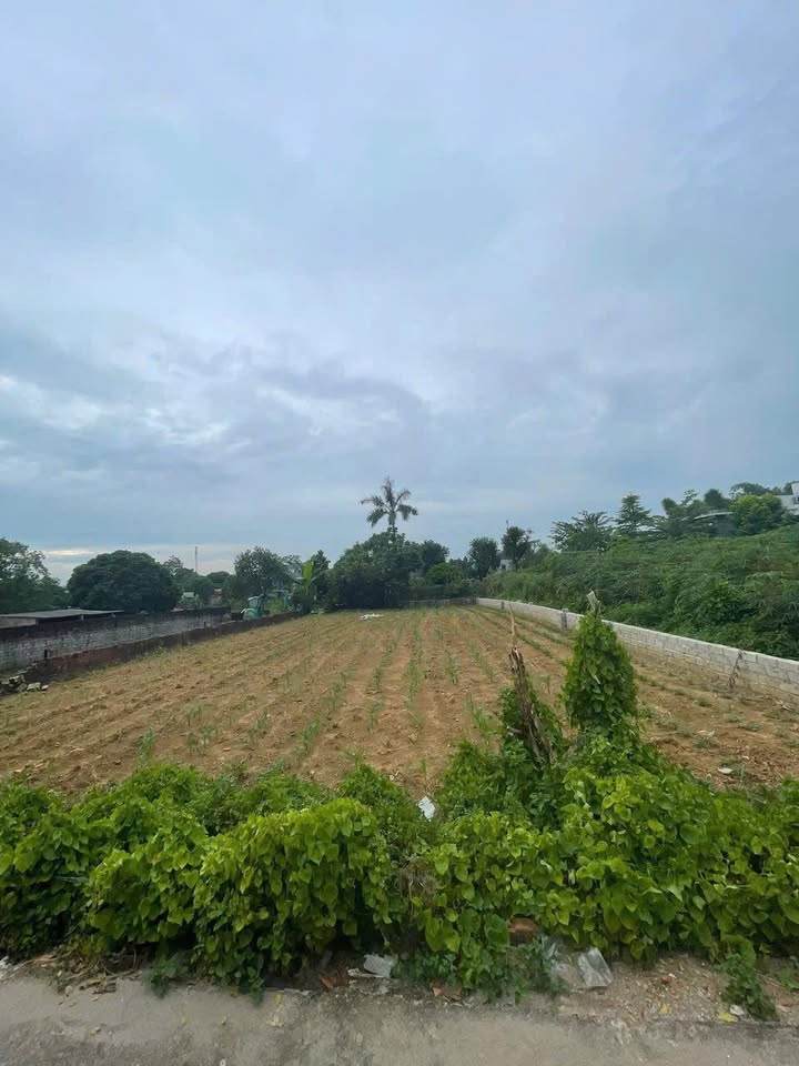 Đất nền Đồng Trạng, Sơn Tây 500m² giá cực tốt - Đầu tư sinh lời bền vững!