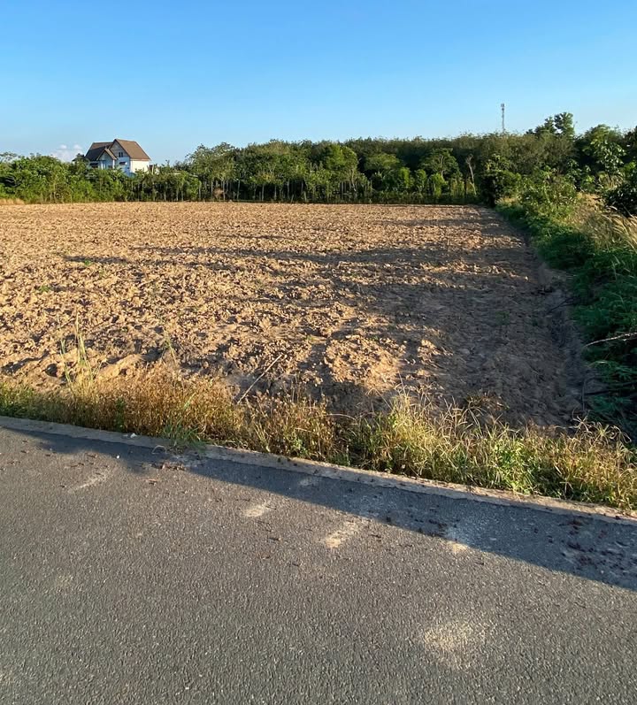 Đất thổ cư 250m² tại Xã An Linh, Huyện Phú Giáo chỉ 570 triệu - Liền kề tiện ích!