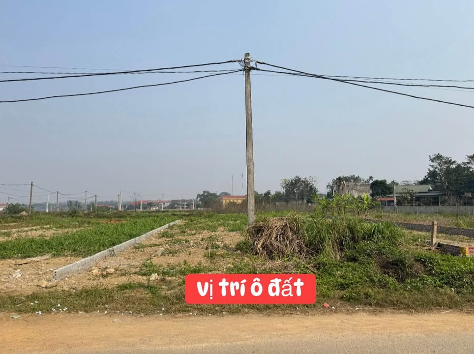 Bán đất đấu giá Khu Đá Bia, Thanh Sơn, Phú Thọ 150m² - Sổ đỏ chính chủ, giá tốt thương lượng!
