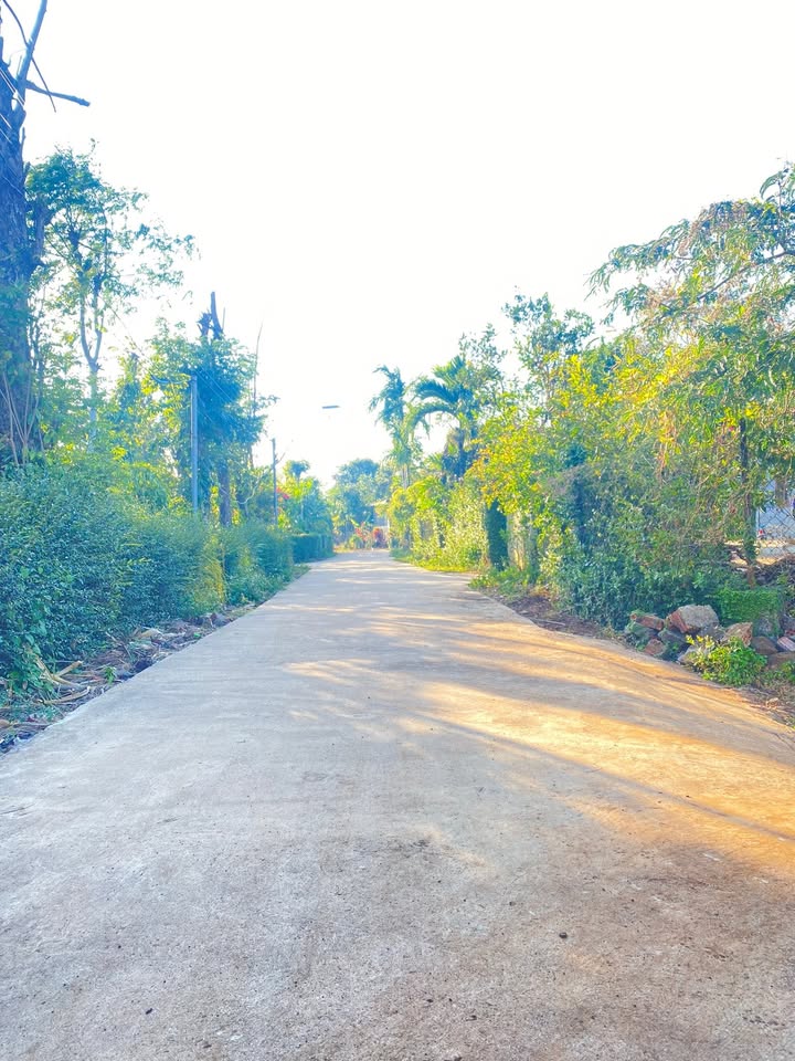 Nhà cấp 4 xã Ea Ning 360m² giá chỉ 489 triệu - Cơ hội vàng cho gia đình bạn!