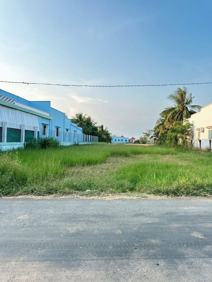 Đất nền mặt tiền Cầu Xây, Gò Công Đông 1189m² giá 1.6 tỷ - Sổ đỏ chính chủ