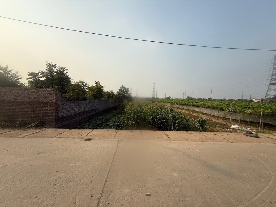 Lô đất 550m² Mộc Hoàn Giáo, An Khánh - Giá chỉ 4.x triệu/m², không gian yên tĩnh lý tưởng!