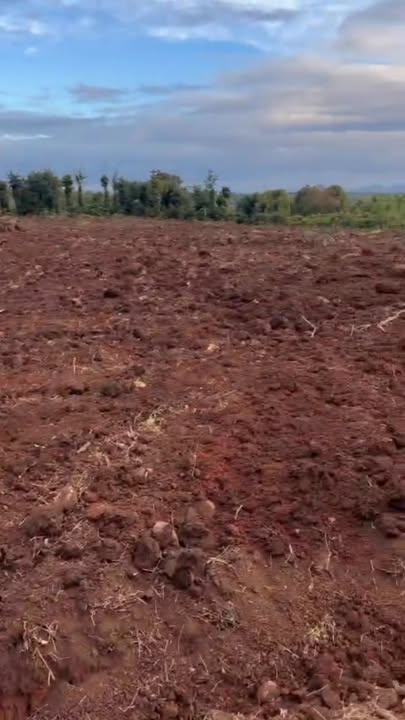 Đất nền Cư M'gar 10.000m² giá 1.5 tỷ - Đầu tư sinh lời hấp dẫn!