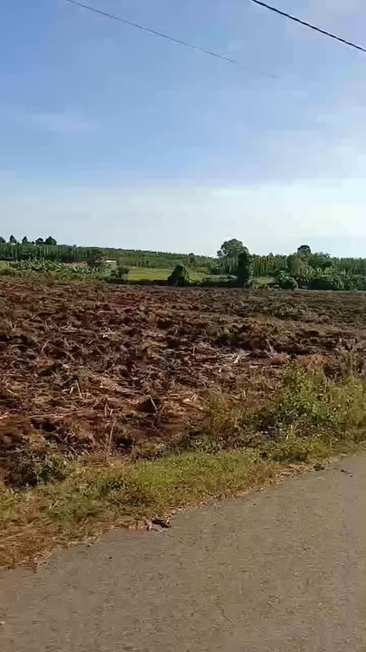 Đất nền 2 mặt tiền đường nhựa Nghĩa Thành, Châu Đức 20.000m² - Đầu tư sinh lời bền vững!