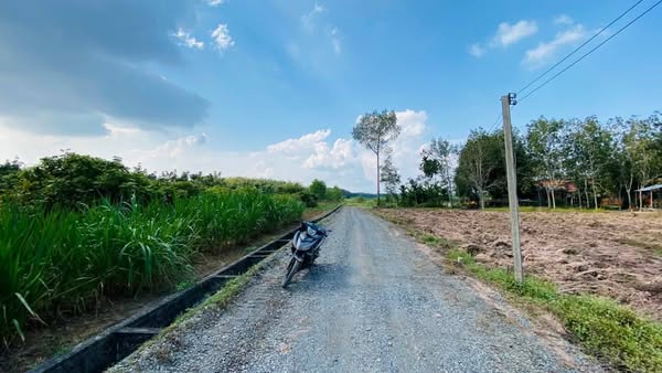 Đất nền liền kề Ấp Tầm Lanh, Gò Dầu, Tây Ninh 250m² - Tiềm năng đầu tư sát KCN Hiệp Thạnh!