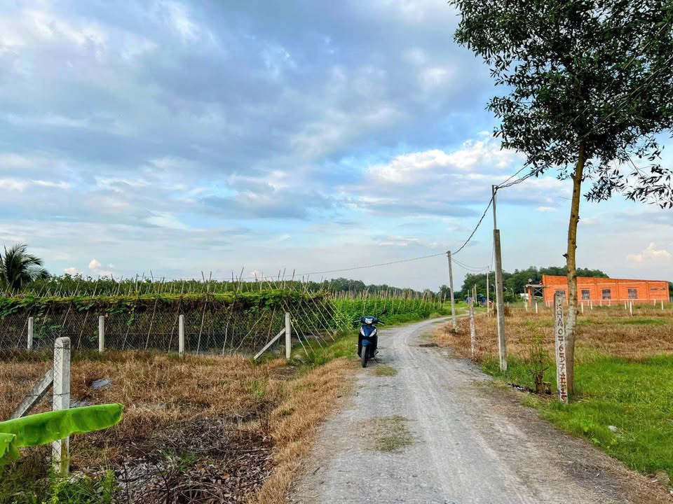 Đất nền thổ cư 940m² Thạnh Đức Gò Dầu 1.4 tỷ - Cơ hội đầu tư hiếm có!