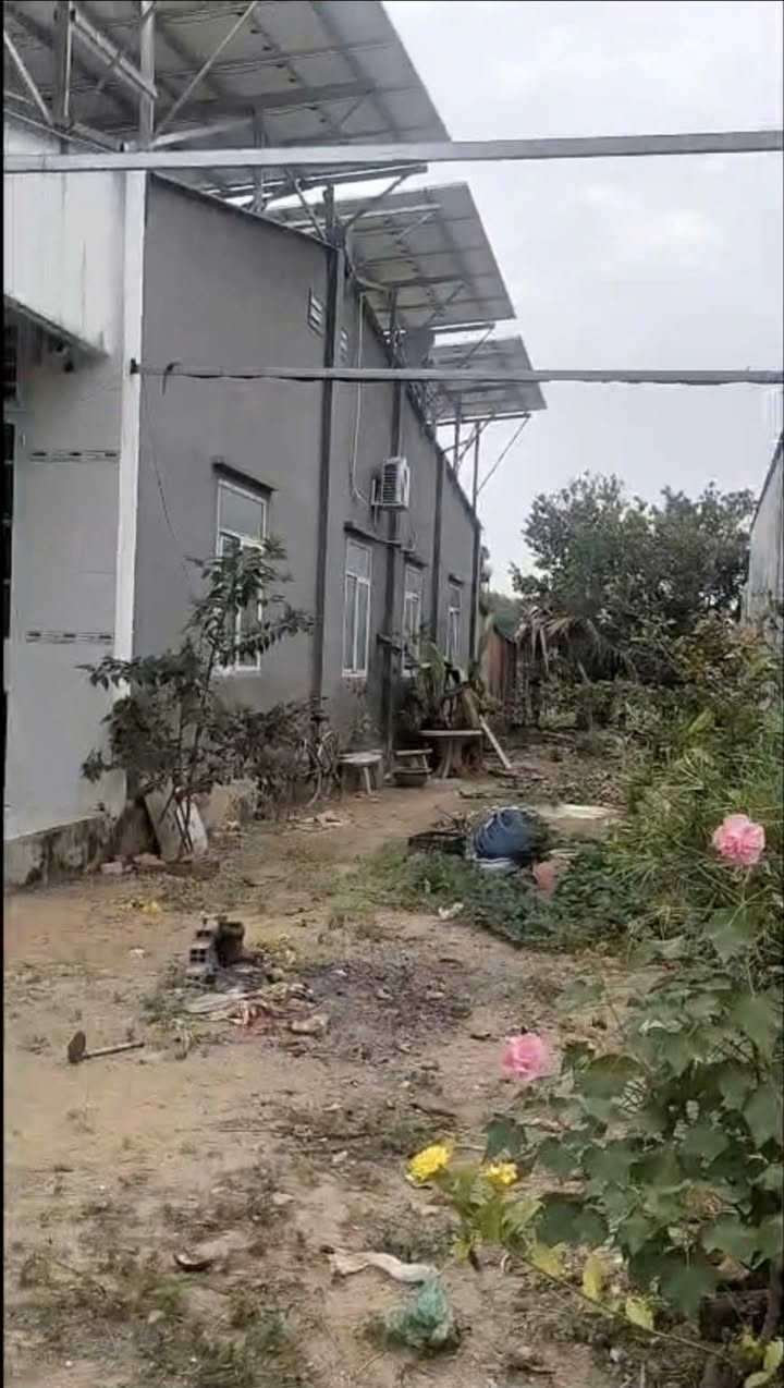 Đất thổ cư 400m² tại Khu phố 3, Xã Tân Phú, Tây Ninh - Giá 7.2 tỷ, thương lượng!