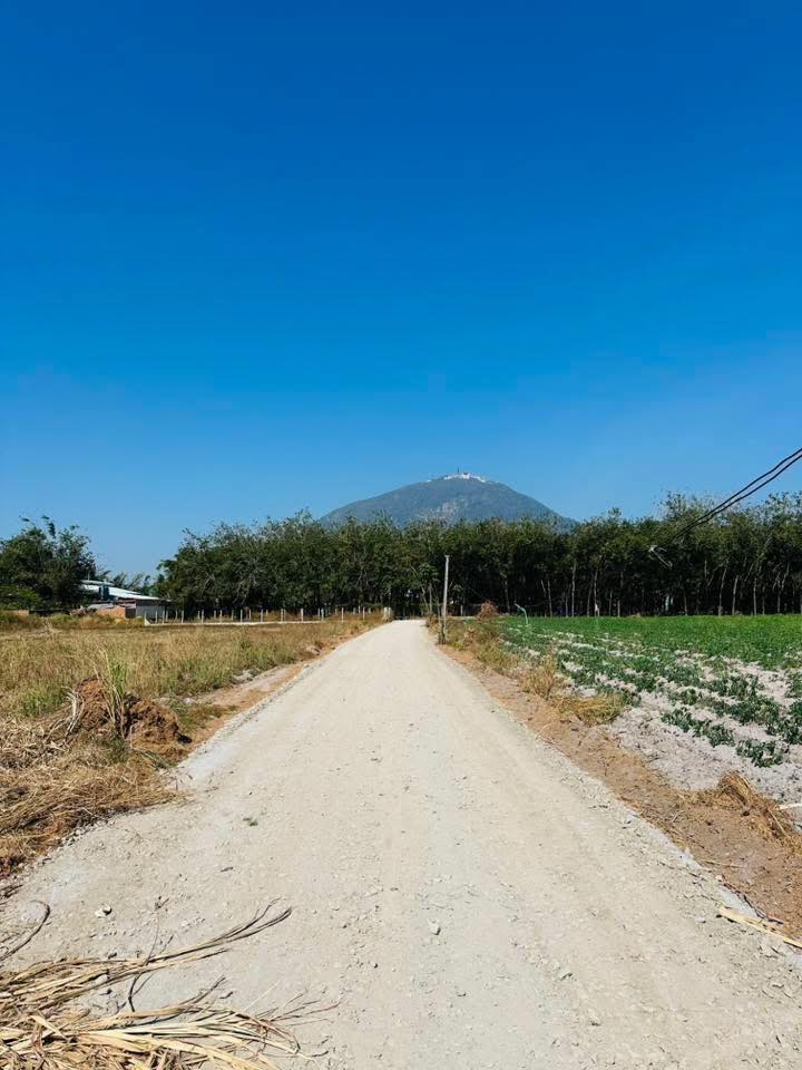 Đất nền 140m² xã Phan, Dương Minh Châu - Giá chỉ 280 triệu/nền, sổ đỏ chính chủ!