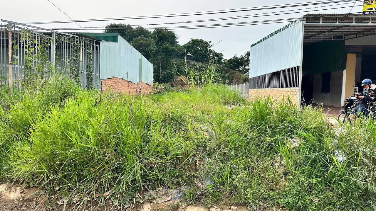 Đất thổ cư 105m² mặt tiền QL 55, xã Lộc Thành, giá 2.5 tỷ - Cơ hội đầu tư hấp dẫn!