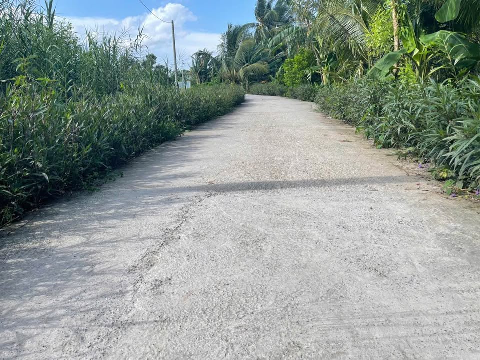 Đất thổ cư 649m² xã Song Phú, Vĩnh Long - Đầu tư lý tưởng!