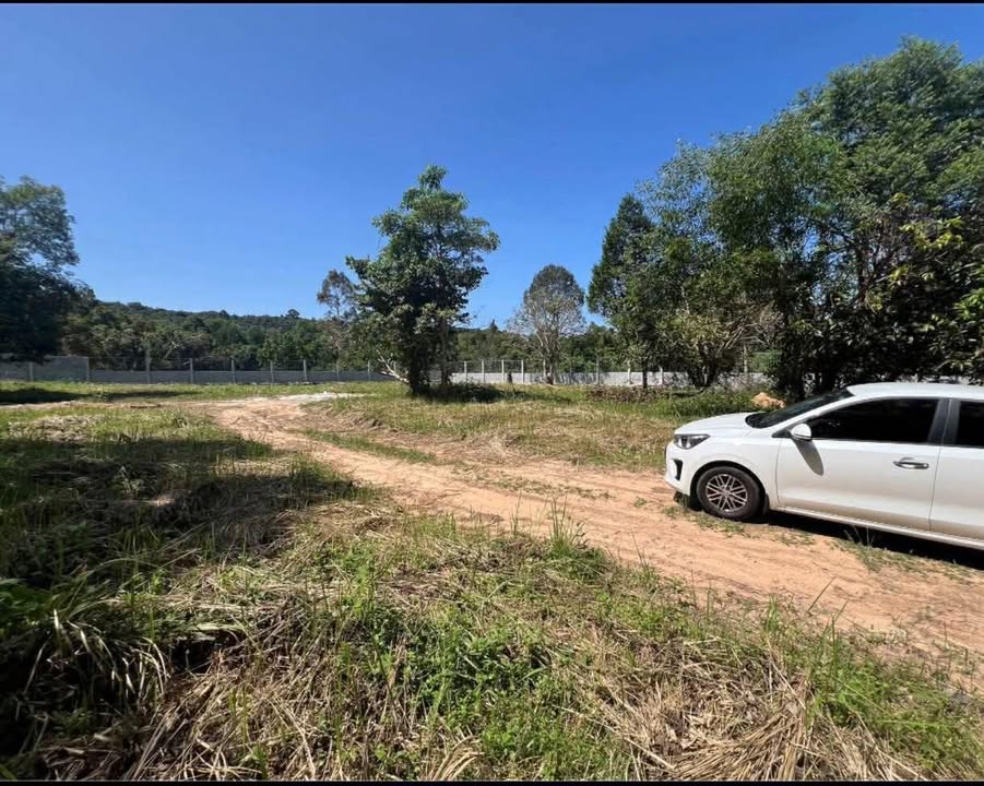 Đất nền 2000m² tại Trần Hưng Đạo, Phú Quốc - Đầu tư sinh lời dưới 20 tỷ!