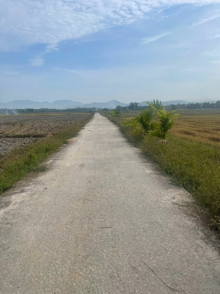 Đất trồng cây làm vườn 485m² Xã Hòa Phong giá 400 triệu - Đầu tư sinh lời hấp dẫn!