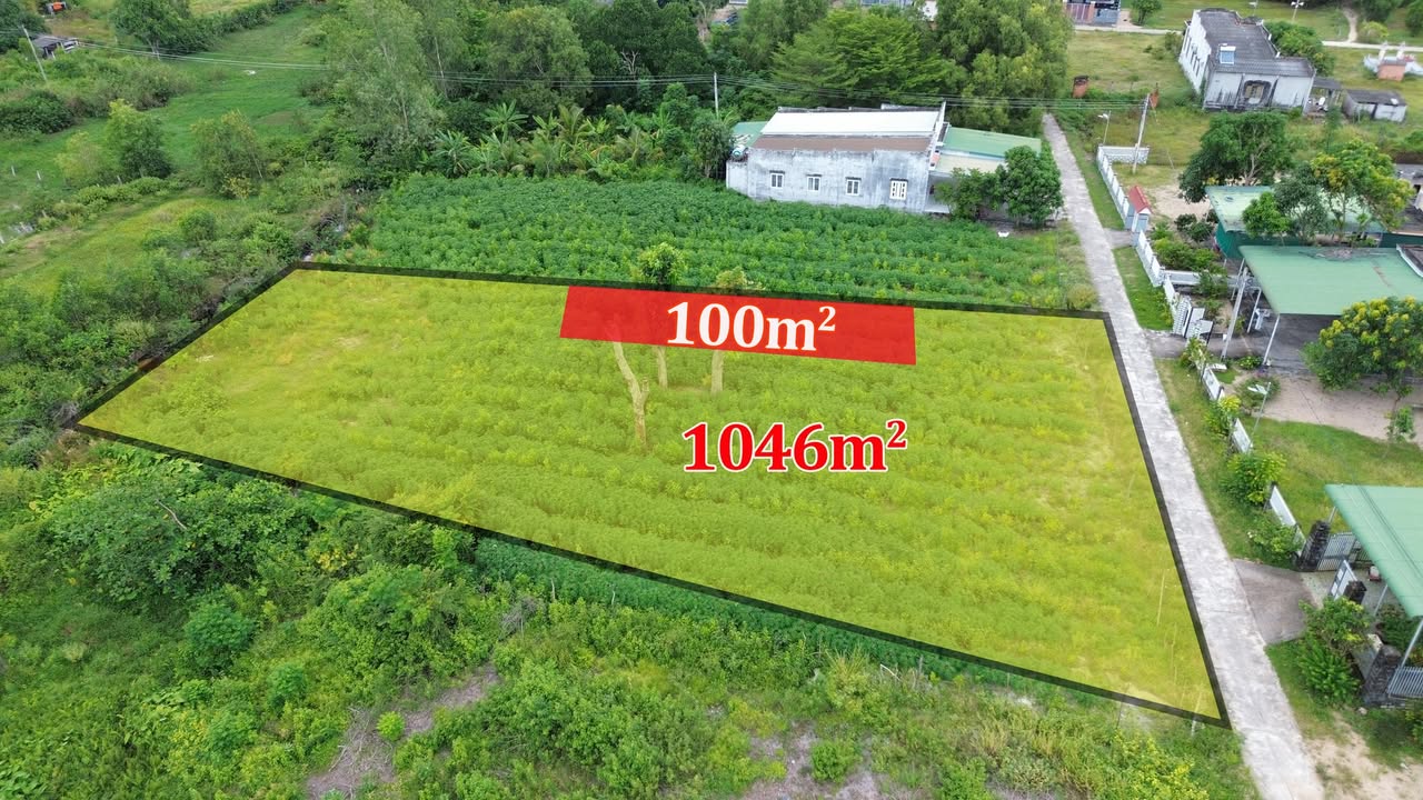 Đất vườn chính chủ Phước Hội, La Gi 1.046,4m² - Đầu tư tiềm năng!