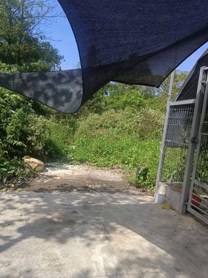 Đất nền hẻm Trường Định, Phường 5, Quận 5, 162m² giá 4xx triệu - Cơ hội đầu tư hấp dẫn!