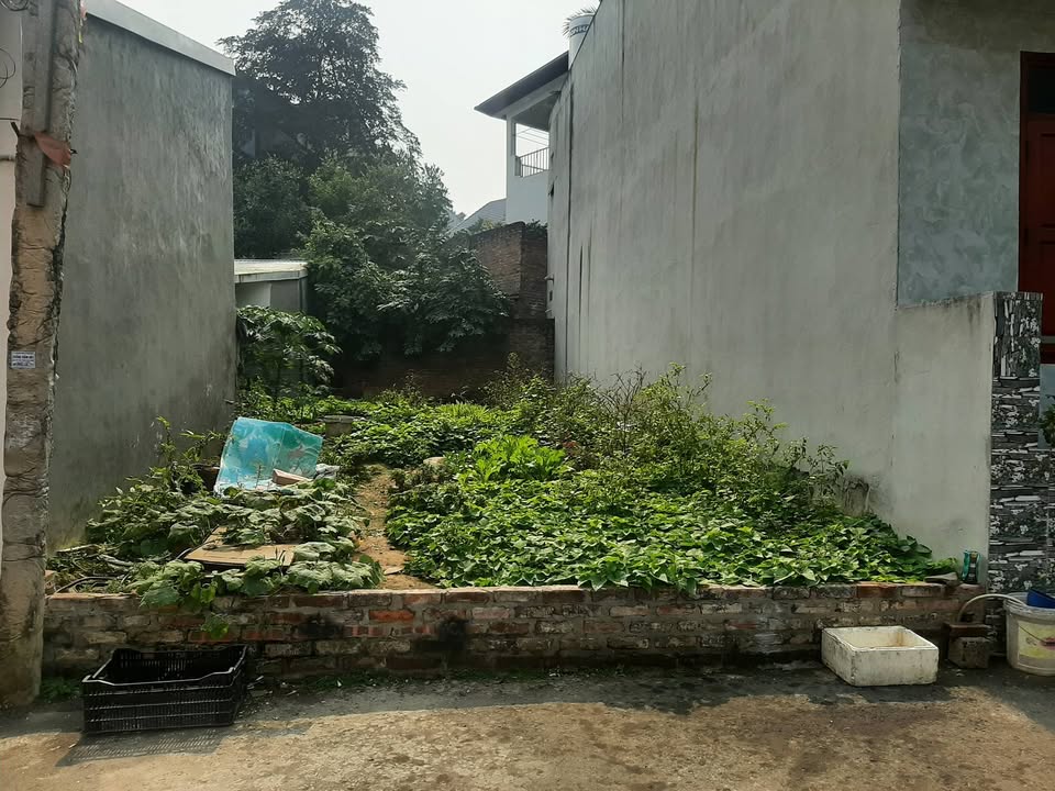 Đất thổ cư HỒ AO XANH - Thanh Miếu 92.8m² chỉ 2,x tỷ - Ô tô tránh nhau!