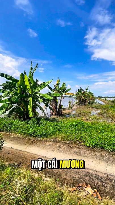 Đất nông nghiệp 5.108m² tại Thới Xuân, Cờ Đỏ - Giá chỉ 50 tỷ VND!