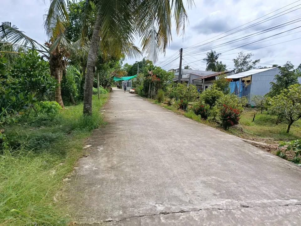 Đất nền 1500m² tại Định Môn, Thới Lai - Giá chỉ 2.4 tỷ, cơ hội đầu tư tuyệt vời!