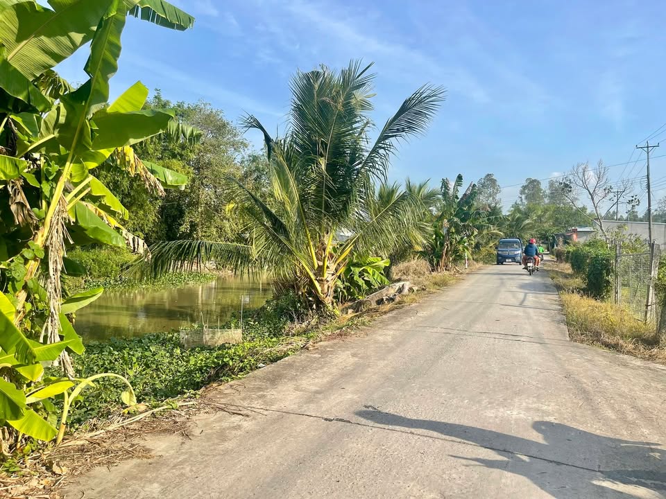 Đất nông nghiệp 14.000m² tại Thạnh Đông B, Tân Hiệp chỉ 2.6 tỷ - Tiềm năng sinh lời cao!