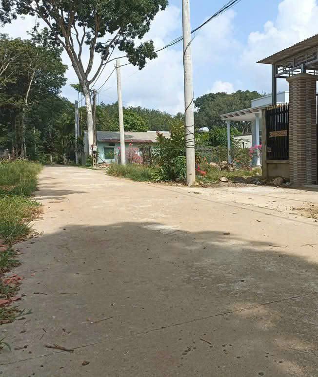 Đất nền khu dân cư Đồng Nơ, Hớn Quản, 1800m² giá 70-79 tỷ - Đầu tư sinh lời!