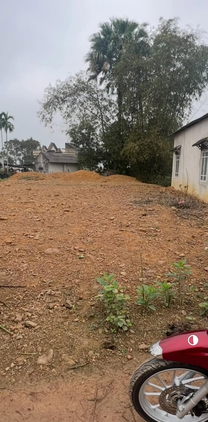 Đất nền Phúc Khánh, Yên Lập 180m² - Đầu tư lâu dài, chính chủ bán!