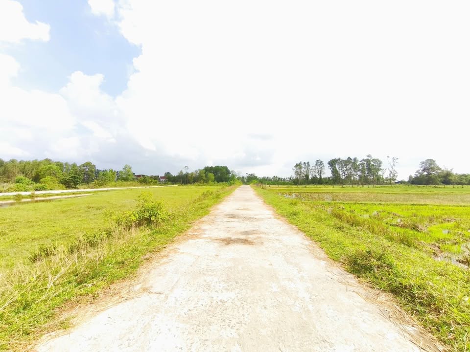 Đất quy hoạch thôn Hòa Bình, Thạch Xuân 239m² giá 1.2 tỷ - Đầu tư sinh lời ngay!