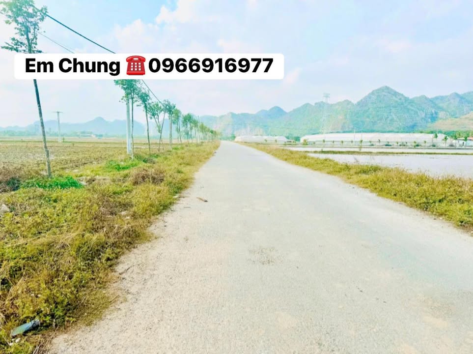 Đất nền xã Nga An, huyện Nga Sơn 100m² giá chỉ 700 triệu - Đầu tư sinh lời tuyệt vời!