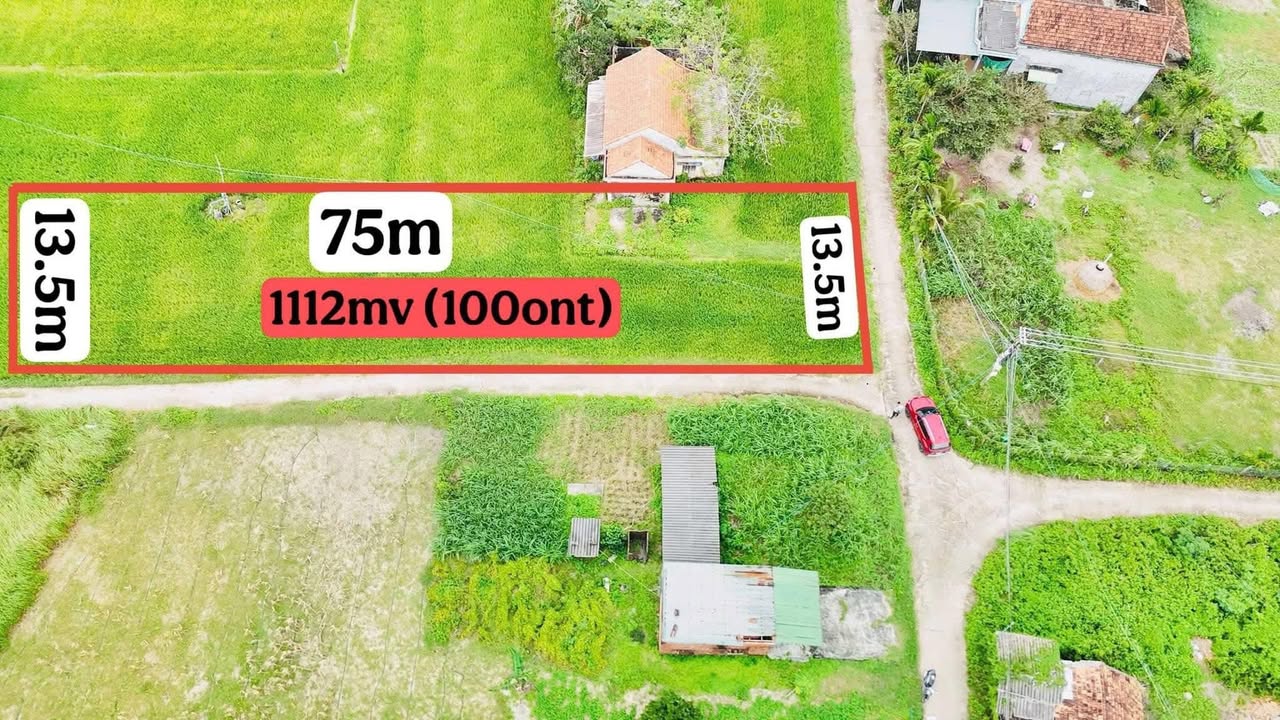 Farm tại xã Đức Minh, huyện Mộ Đức 1100m² giá chỉ 600 triệu - Cơ hội đầu tư tuyệt vời!