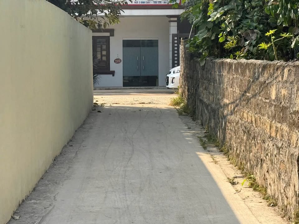 Đất nền Thái Sơn An Lão Hải Phòng 61m² chỉ từ 500 triệu - Cơ hội đầu tư hiếm có!