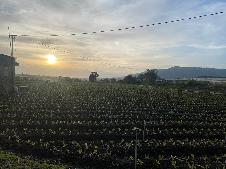 Đất Lạc Thạnh, Lạc Lâm, Đơn Dương 10800m² giá 1.95 tỷ - Pháp lý rõ ràng, đầu tư sinh lời!