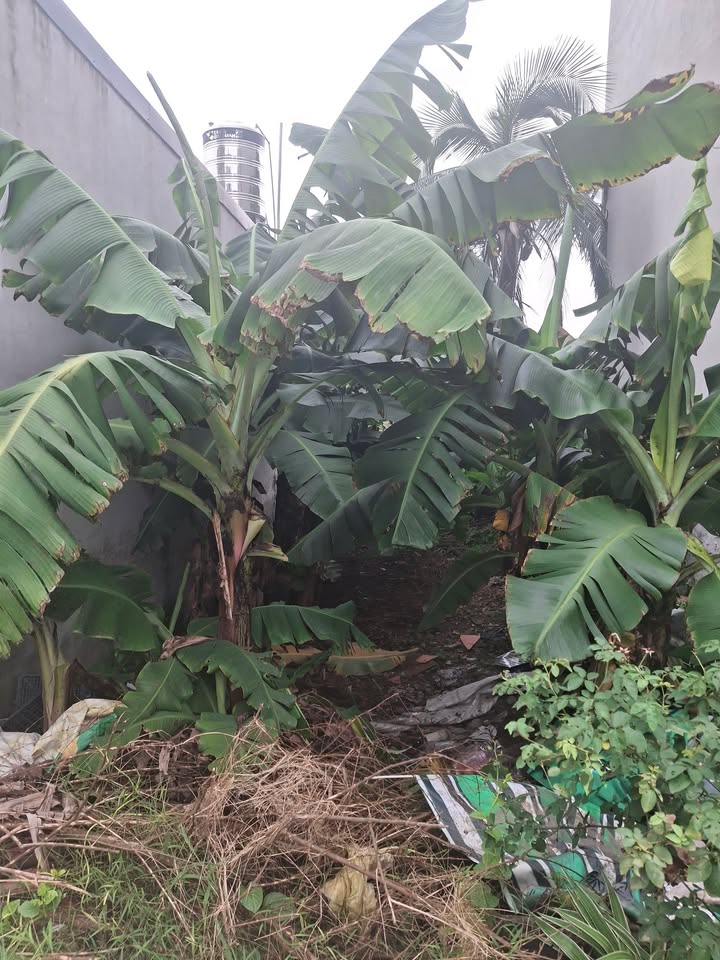 Đất nền 665m² tại Thuận An, Gia Lâm - Giá chưa đến 3 tỷ, đầu tư sinh lời!